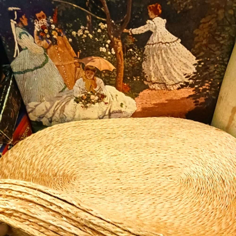 Vintage Table Togs 100% Abaca Placemats Set of 6,Size W. 13"× 19" L,Nice Gift.🎁